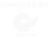 logo iridian